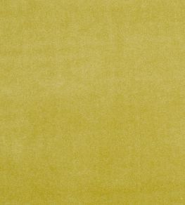 Alvar Fabric by Clarke & Clarke Olive