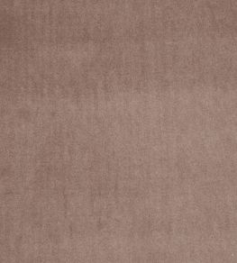 Alvar Fabric by Clarke & Clarke Beaver