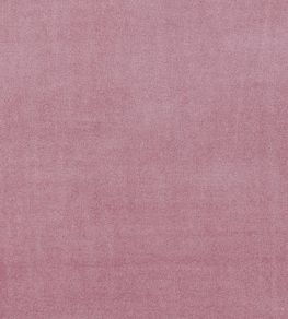 Alvar Fabric by Clarke & Clarke Blush