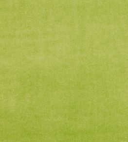 Alvar Fabric by Clarke & Clarke Citron