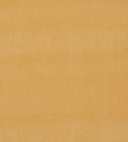Alvar Fabric by Clarke & Clarke Gold