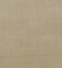 Alvar Fabric by Clarke & Clarke Lark