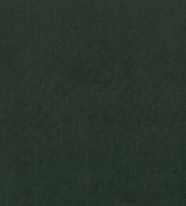 Alvar Fabric by Clarke & Clarke Forest