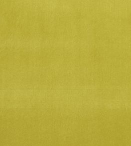 Alvar Fabric by Clarke & Clarke Lime