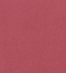 Alvar Fabric by Clarke & Clarke Peony