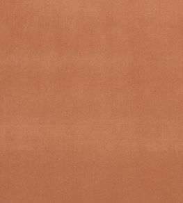 Alvar Fabric by Clarke & Clarke Tamarind