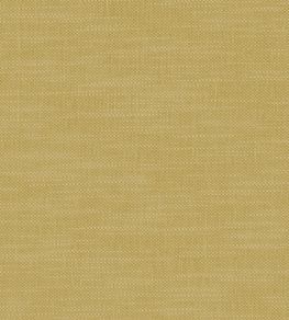 Amalfi Fabric by Clarke & Clarke Buttercup