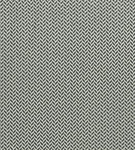 Zalika Fabric by Clarke & Clarke Charcoal