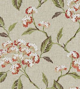 Summerby Fabric by Clarke & Clarke Spice