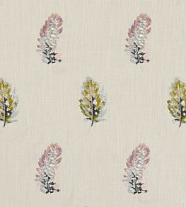 Plumis Fabric by Clarke & Clarke Multi/Gilver