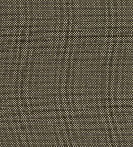 Kauai Fabric by Clarke & Clarke Charcoal