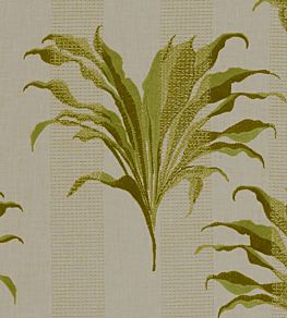 Palma Fabric by Clarke & Clarke Citron