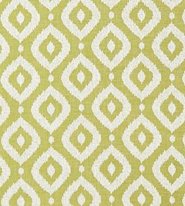 Soraya Fabric by Clarke & Clarke Apple