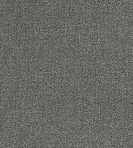 Acies Fabric by Clarke & Clarke Smoke