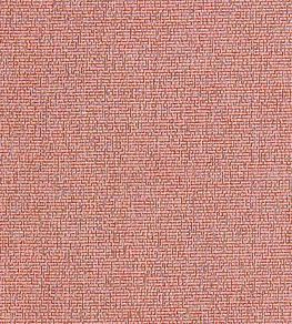 Acies Fabric by Clarke & Clarke Spice