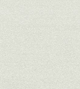 Felpa Fabric by Clarke & Clarke Dove