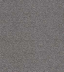 Filum Fabric by Clarke & Clarke Earth