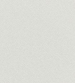 Filum Fabric by Clarke & Clarke Polar