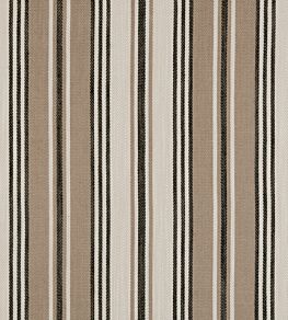 Mitra Fabric by Clarke & Clarke Ebony