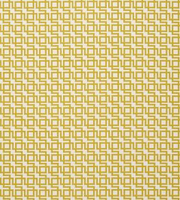 Muzio Fabric by Clarke & Clarke Chartreuse