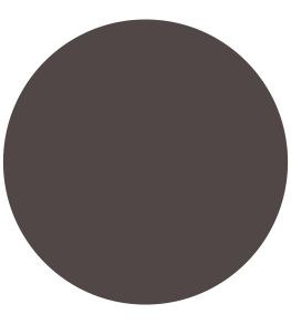 Clove Brown 1829 Chalky Emulsion Paint by Craig & Rose Clove Brown