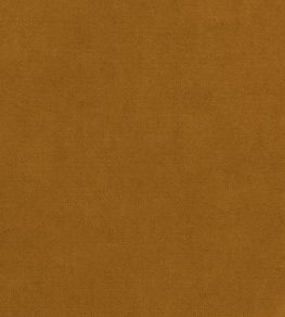 Club Velvet Fabric by Thibaut Amber