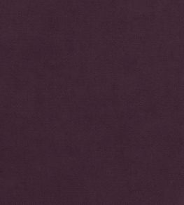 Club Velvet Fabric by Thibaut Amethyst