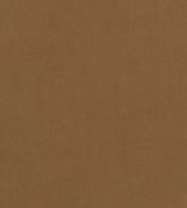 Club Velvet Fabric by Thibaut Camel