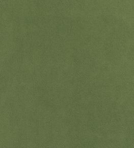 Club Velvet Fabric by Thibaut Celadon