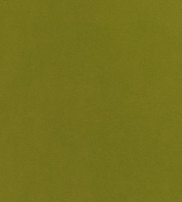 Club Velvet Fabric by Thibaut Citron