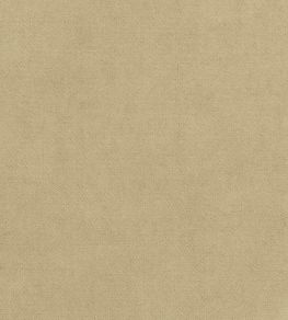 Club Velvet Fabric by Thibaut Fawn