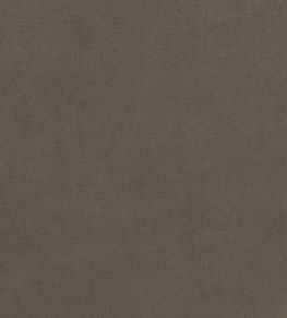 Club Velvet Fabric by Thibaut Flannel