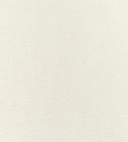Club Velvet Fabric by Thibaut Ivory