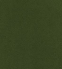 Club Velvet Fabric by Thibaut Ivy