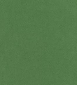 Club Velvet Fabric by Thibaut Kelly