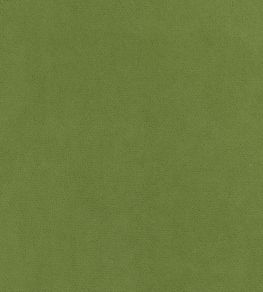 Club Velvet Fabric by Thibaut Leaf