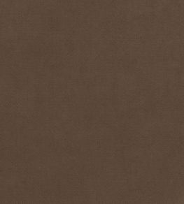 Club Velvet Fabric by Thibaut Mink