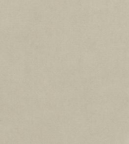 Club Velvet Fabric by Thibaut Oyster