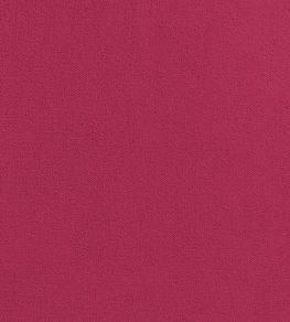 Club Velvet Fabric by Thibaut Peony
