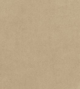 Club Velvet Fabric by Thibaut Sand