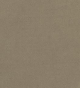 Club Velvet Fabric by Thibaut Taupe