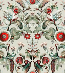 Coccinella Bella Wallpaper by Moooi Stone Grey