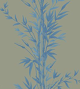 Bamboo Wallpaper by Cole & Son Blue on Khaki