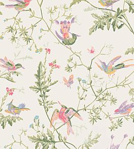 Hummingbirds Wallpaper by Cole & Son Soft Multi-colour