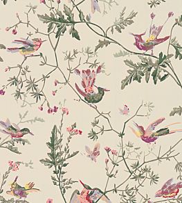 Hummingbirds Wallpaper by Cole & Son Original Multi-colour