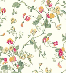 Sweet Pea Wallpaper by Cole & Son Pink & Yellow