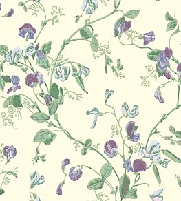 Sweet Pea Wallpaper by Cole & Son Violet