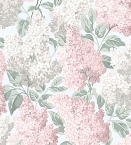 Lilac Wallpaper by Cole & Son Ballet Slipper & Dove on Silver Birch
