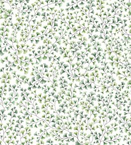 Maidenhair Wallpaper by Cole & Son Olive