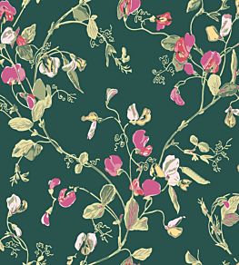 Sweet Pea Wallpaper by Cole & Son Cerise & Magenta on Viridian